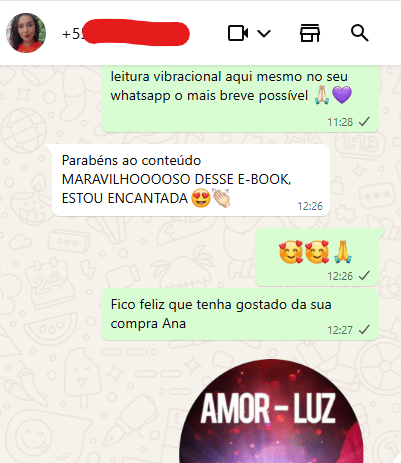 Depoimento via WhatsApp sobre o guia